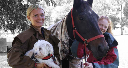 Hawkesbury Nepean Animals