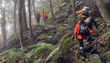 NSW SES CREWS ASSIST IN SUCCESSFUL SEARCH FOR MISSING BUSHWALKER IN BLUE MOUNTAINS