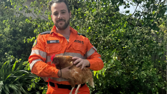 NSW RESIDENTS REMINDED TO CARE FOR THEIR PETS AND ANIMALS THIS STORM SEASON